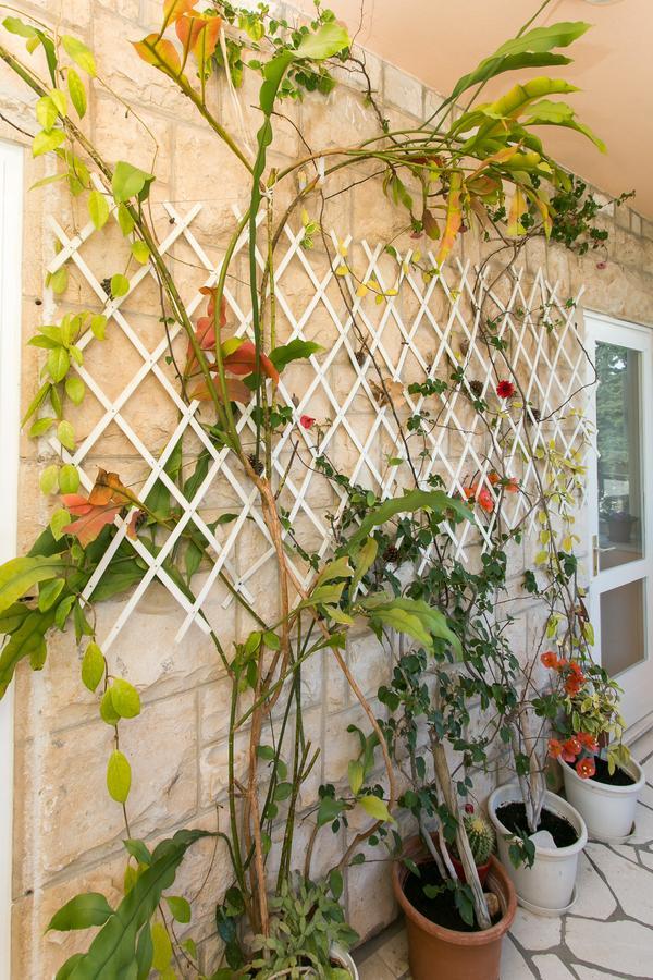 Yellow Room Guesthouse Dubrovnik Exterior photo